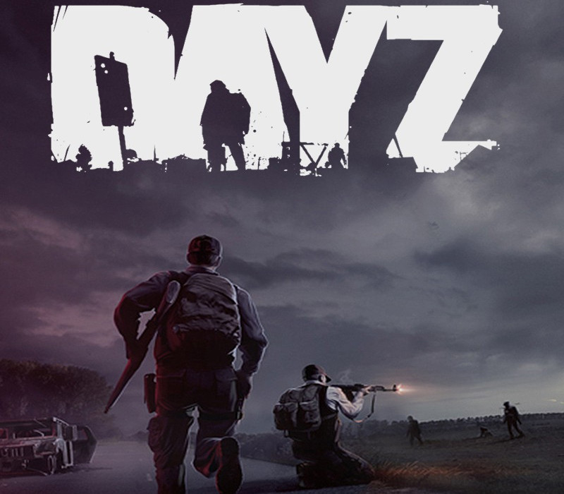 DayZ PC Steam Altergift