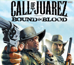Call of Juarez: Bound in Blood PC Steam CD Key
