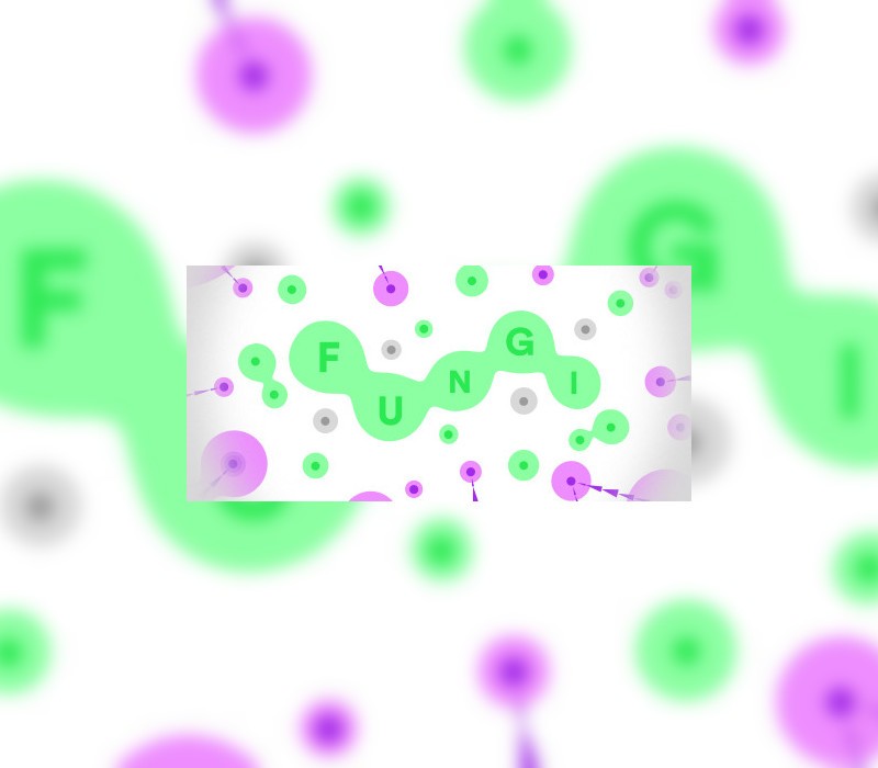 FUNGI Steam CD Key