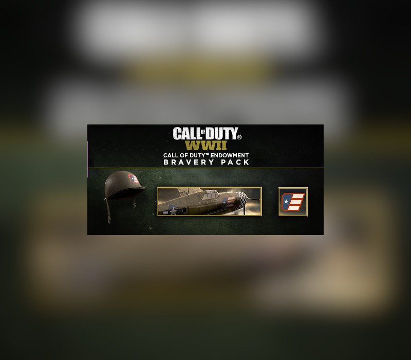 Call of Duty: WWII – Call of Duty Endowment Bravery Pack DLC Steam CD Key