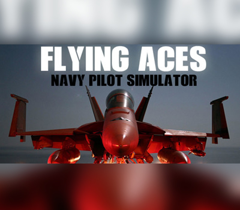 Flying Aces – Navy Pilot Simulator Steam CD Key