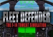Fleet Defender: The F-14 Tomcat Simulation Steam CD Key