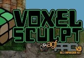 Axis Game Factory’s AGFPRO – Voxel Sculpt DLC Steam CD Key