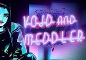 Void & Meddler – Episode 1 Steam CD Key