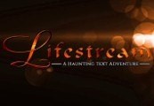 Lifestream: A Haunting Text Adventure Steam CD Key