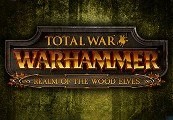 Total War: Warhammer – Realm of The Wood Elves DLC RU VPN Required Steam CD Key