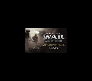 Men of War: Assault Squad – MP Supply Pack Bravo DLC PC Steam CD Key