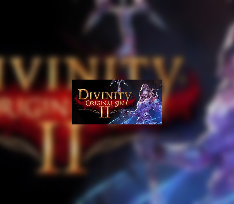 Divinity: Original Sin 2 Eternal Edition Steam Altergift