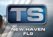 Train Simulator 2017 – New Haven FL9 Loco DLC Steam CD Key